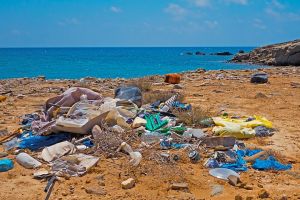 praia poluída. imagem relacionada aos ODS, um tema sujeito a transcrição académica.