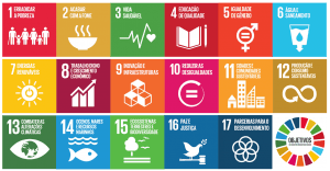 Objetivos de Desenvolvimento Sustentável - Uma transcrição Académica feita pela wescribe